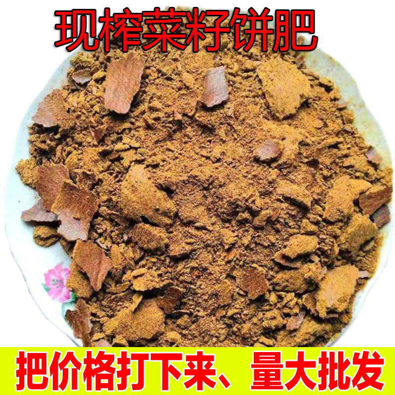 菜籽油饼农家菜枯打窝油菜饼菜籽有机肥营养土肥料钓鱼油枯10斤装