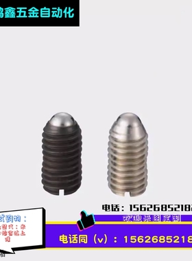 一字槽球头柱塞C-BPES/BPEU3/4/5/6/8/10/12/16