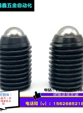 球头柱塞 替代米型 BPJL3/4/5/6/8/10/12/16 定位珠