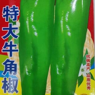 特大牛角椒种子大果青椒辣椒种籽肉厚青椒微辣高产蔬菜种子四季