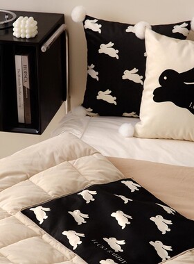 黑色耐脏卧室床上抱枕抱枕被二合一夏季空调被办公室午休被子2025