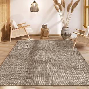 地毯客厅仿亚麻卧室房间床边毯日式和风家用书房入户门仿剑麻地垫