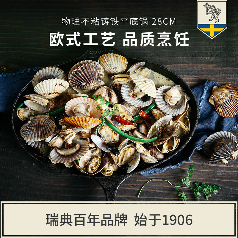斯肯特28cm铸铁无涂层平底煎锅