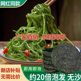 食物儿童成人营养高钙烘干压缩海带丝网红自律健身餐22g霞浦海带圆饼干货海带丝圆饼免洗凉拌即食商用 减肥解馋小零食适合减脂期