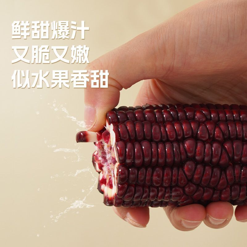 正宗云南西双版纳开袋即食黑紫水果玉米段早餐代餐粗粮真空包装