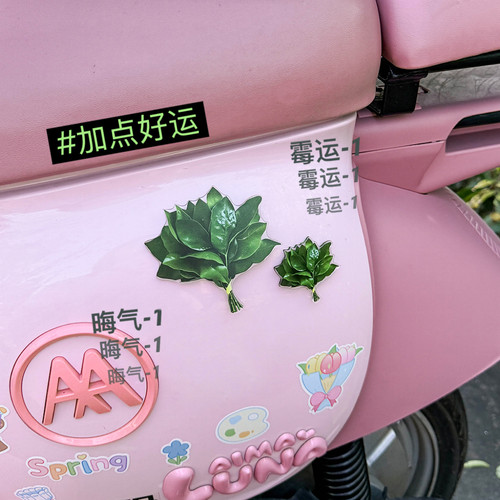 去霉运柚子叶车贴~3D立体装饰~