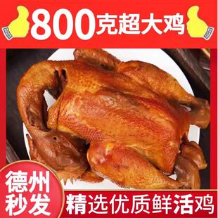 地方特产德州五香扒鸡真空熟食山东即食烧鸡下酒菜麻油鸡卤味零食