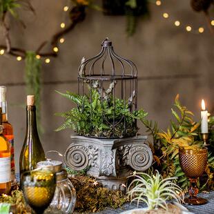 掬涵铁艺鸟笼花艺花器彷真植物微景观蕨叶绿植装饰品陈列摆件挂饰