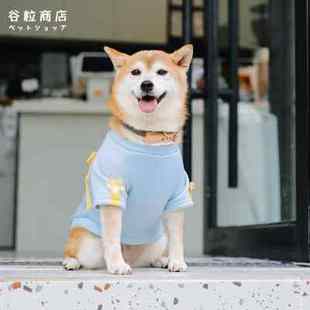 宠物衣服秋冬季 2021秋冬加绒卫衣 保暖柴犬衣服狗狗衣服T恤柴犬衣