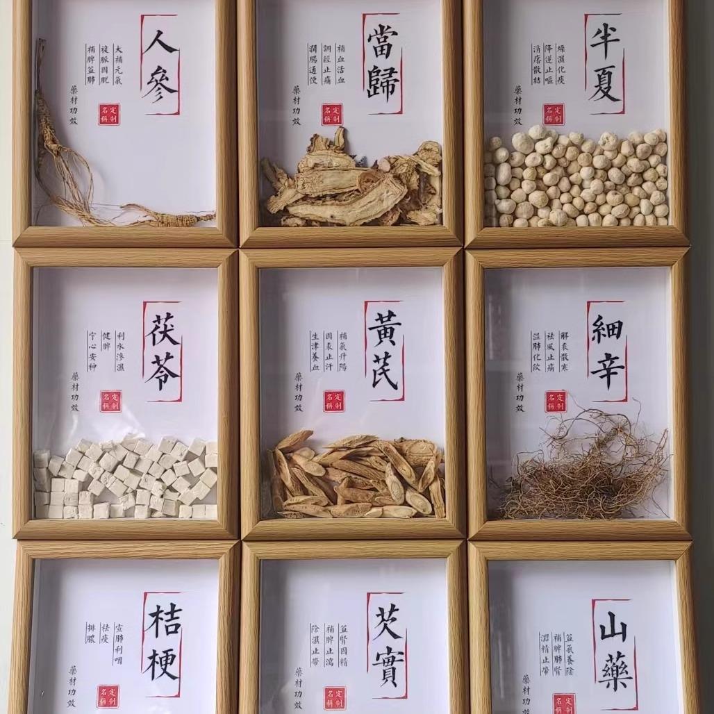 中药材标本书桌摆件中医馆装修画科普宣传展示装饰画中医药食同源