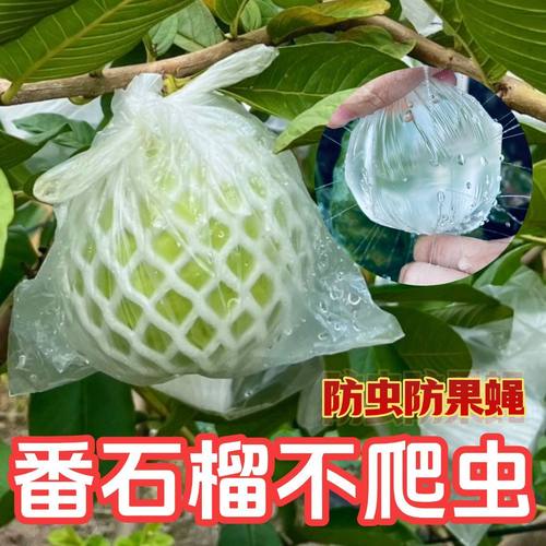番石榴防虫网防虫专用套袋芭乐泡沫网套一体胶袋网袋水果保护