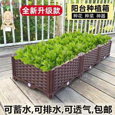 在家长方形家庭特大塑料盆种植槽室内蔬菜盒可移动长条型窄种植箱