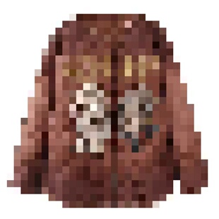 DN高端定制休闲风卡通刺绣棉服外套女宽松显瘦短外套