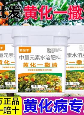 正品黄化一撒清微量元素肥料改善叶片黄化转绿补充营养强健树势