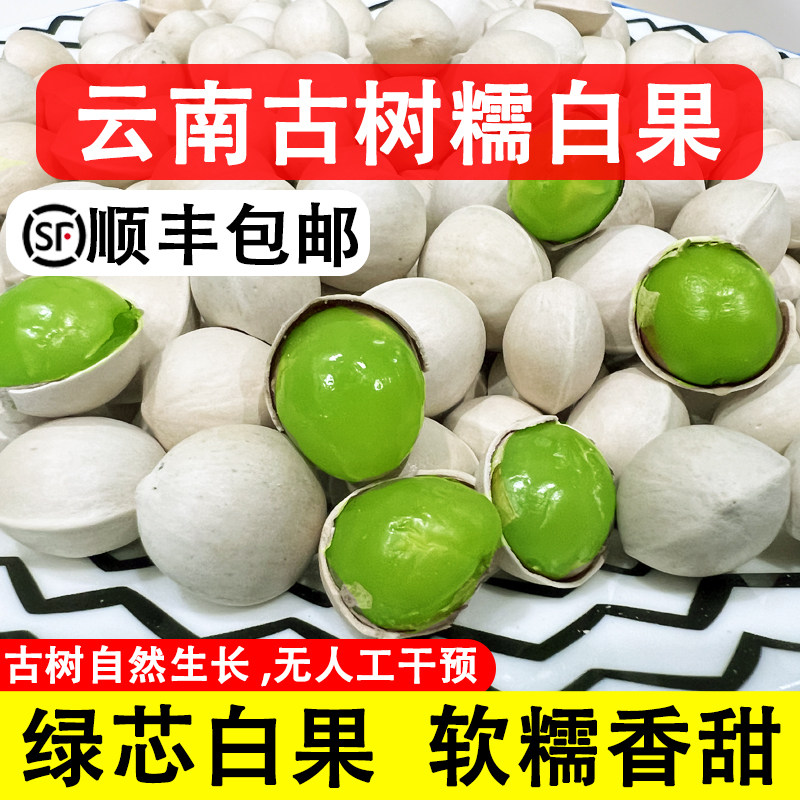 云南新鲜银杏果古树白果