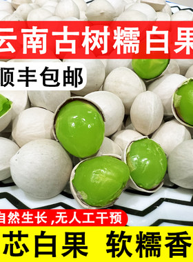 云南新鲜银杏果古树白果