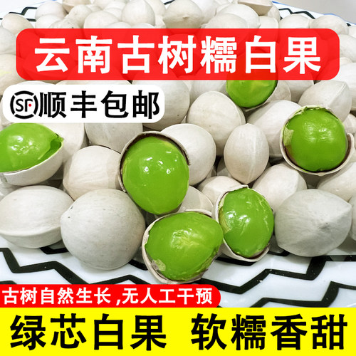 云南新鲜银杏果古树白果
