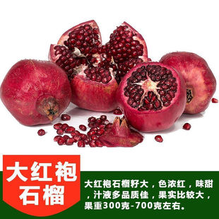大红袍石榴树苗软籽黑无籽红石榴树甜石榴苗南北方种植庭院果树