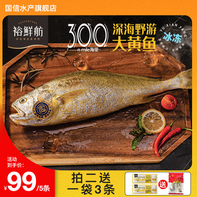 裕鲜舫深海野游大黄鱼300g×2条