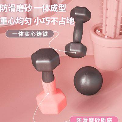 伽梵哑铃女士健身家用套装组合居家健身器材儿童实心铁浸塑小哑铃