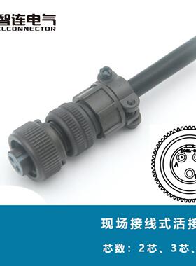 2芯MIL-C-5015MS3106A-10SL-4S MS3102-10SL-4P现场组装式航空插