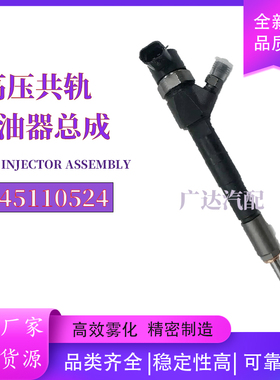 0445110524 共轨喷油器 0986435280 55246223 菲亚特全新品质质量