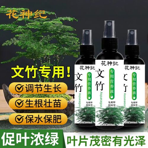 文竹专用肥营养液盆栽植物养花通用肥料水培盆景治叶子发黄免稀释