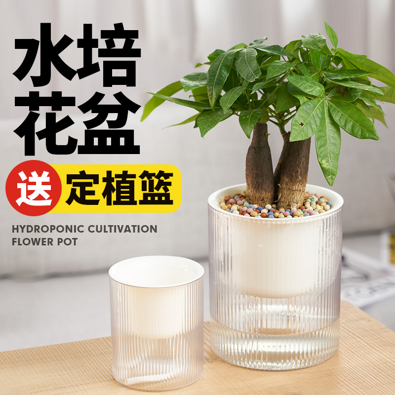 北欧风格水养花盆水培植物容器
