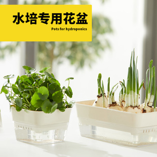 水培器皿透明花盆长方形盆栽猫草豆芽种植盆绿萝容器植物定植篮