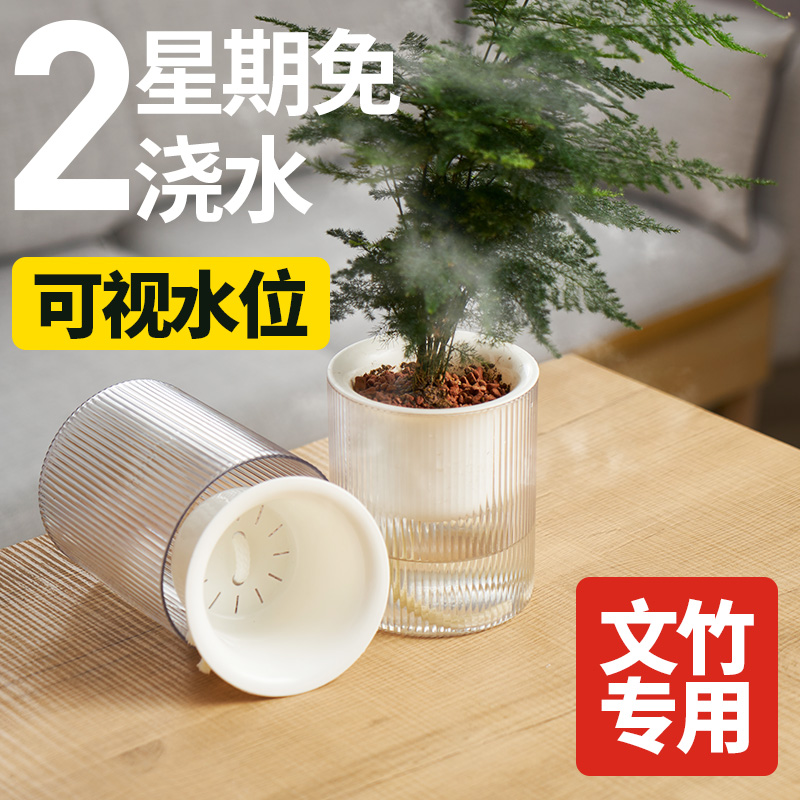 文竹专用花盆懒人自动吸水塑料家用创意简约白色盆栽水培专用器皿