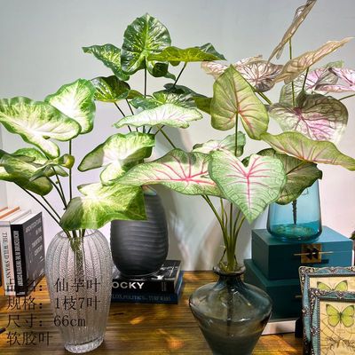 3D打印仿真绿植厂家手感彩芋叶海芋叶绿植造景餐厅橱窗装饰叶子