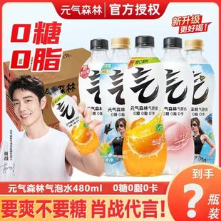 气森林气泡水480ml 25年新货元 15瓶整箱多规格新品 肖战代言