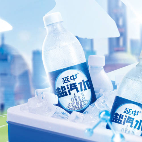 上海延中盐汽水600ml*20瓶整箱