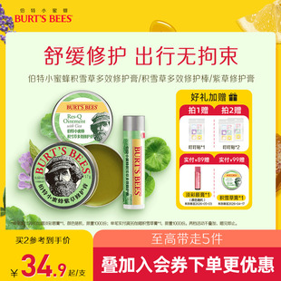 伯特小蜜蜂紫草膏多效舒缓户外修护叮咬非青草止痒膏