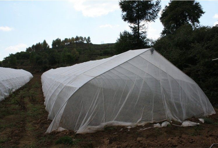 院子防蚊网养殖果树防鸟网尼龙菜地蓝莓防鸟网蔬菜防虫网纱罩农用