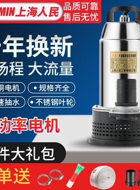 上海人民12V24V48V60V72VD直流潜水泵抽水泵家用农用刷车电动车