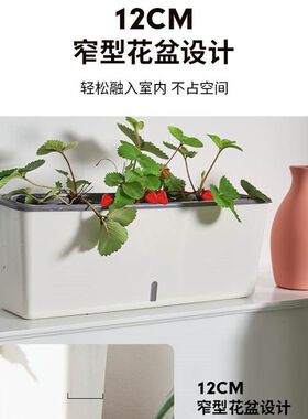 花域自吸水种菜专用神器种草y莓的种植盆阳台种菜盆盆栽花盆和土