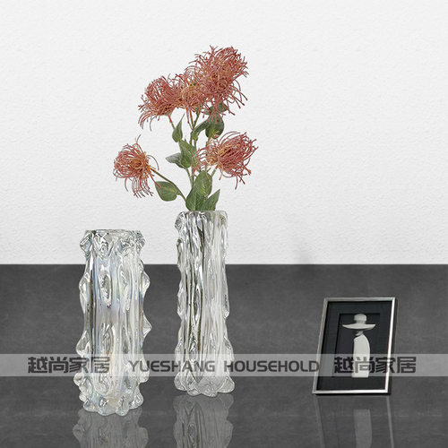 北欧轻奢玻璃透明家q居插花花瓶摆件创意玄关客厅酒柜装饰品