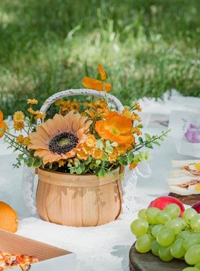 客厅摆件花家居饰品户外露营野餐花篮装饰电视柜酒柜书架开业礼物