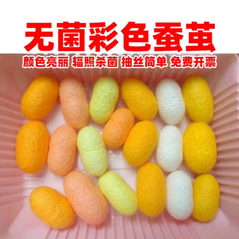 彩色蚕茧壳手工diy抽丝机做被子工艺品手工画材料扇子加工干金茧