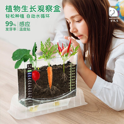 学优马植物根系观察盒种植种子生长科学实验手工玩具儿童中小学生