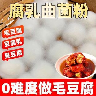 腐乳曲粉毛霉菌粉家用臭豆腐毛豆腐发酵粉霉豆腐菌粉豆