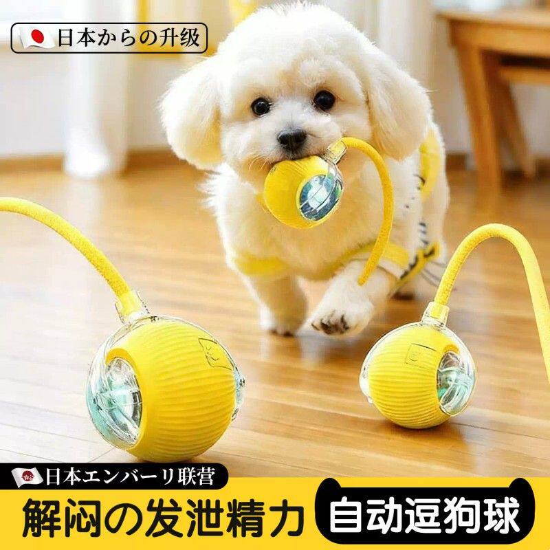 【自动遛狗球】狗狗玩具宠物小狗自嗨耐咬电动智能逗狗跳跳球神器