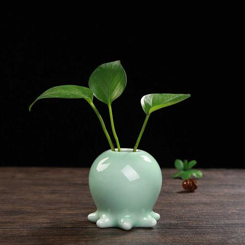 创意绿萝水培花瓶容器水养植物花盆鲜花插花陶瓷器皿桌面装饰摆件