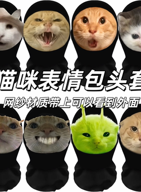 猫咪meme头套鼠鼠派对团建整蛊搞笑面罩抽象宠物耄耋宠物表情包