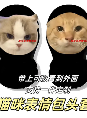 耄耋猫面罩新鲜哥鼠鼠huh派对头套整蛊搞笑面罩抽象mem表情包面具
