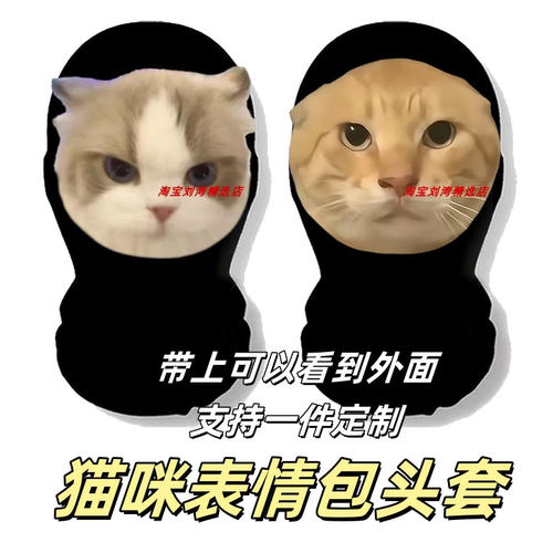 耄耋猫面罩新鲜哥鼠鼠huh派对头套整蛊搞笑面罩抽象mem表情包面具