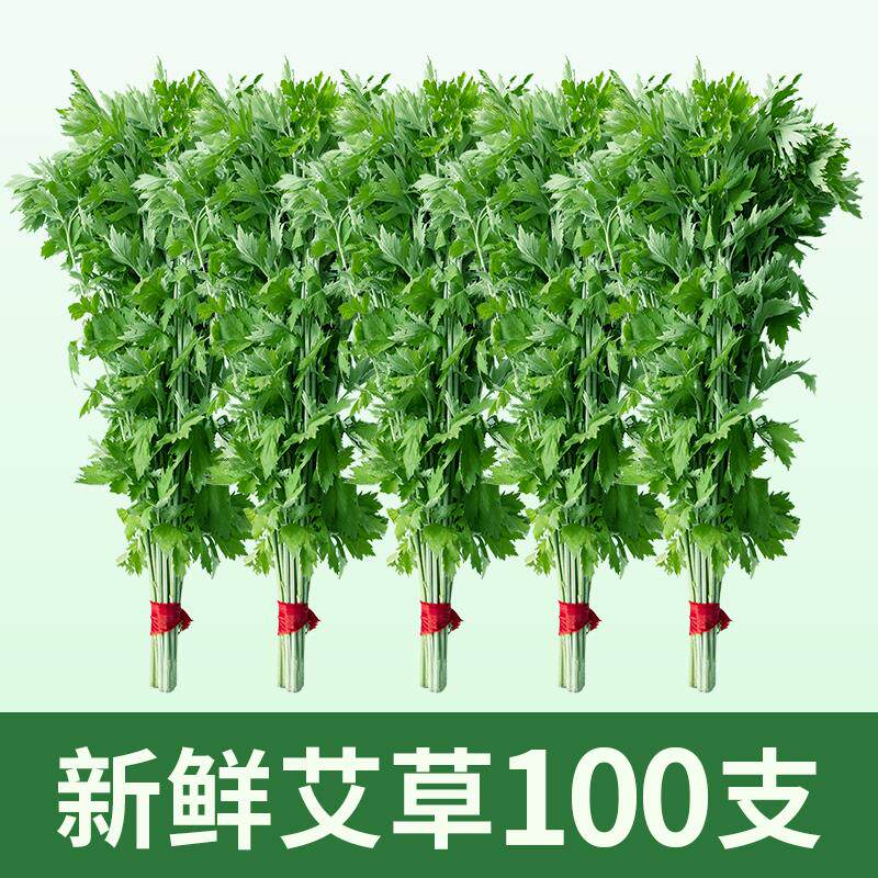 新鲜艾草端午节插门祈福基地现割现发菖蒲挂门窗鲜艾挂饰量大优惠