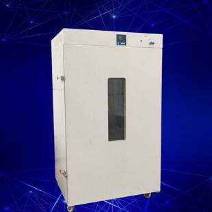 实贝300度立式 620精密热风循环烘箱烤箱 电热恒温鼓风干燥箱LD