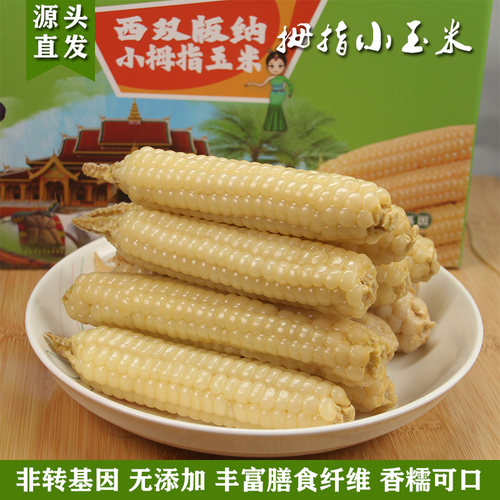云南西双版纳傣家香糯小玉米